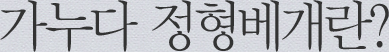 가누다 정형베개란?