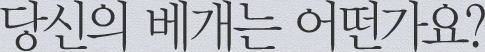 당신의 베개는 어떤가요?